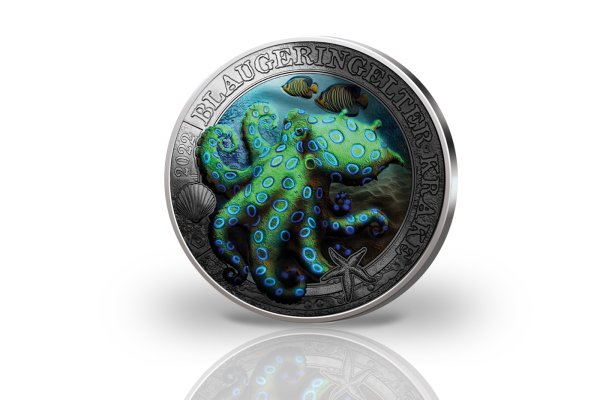 Пользователь не найден kraken