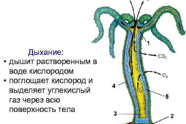 Как зарегаться в кракен