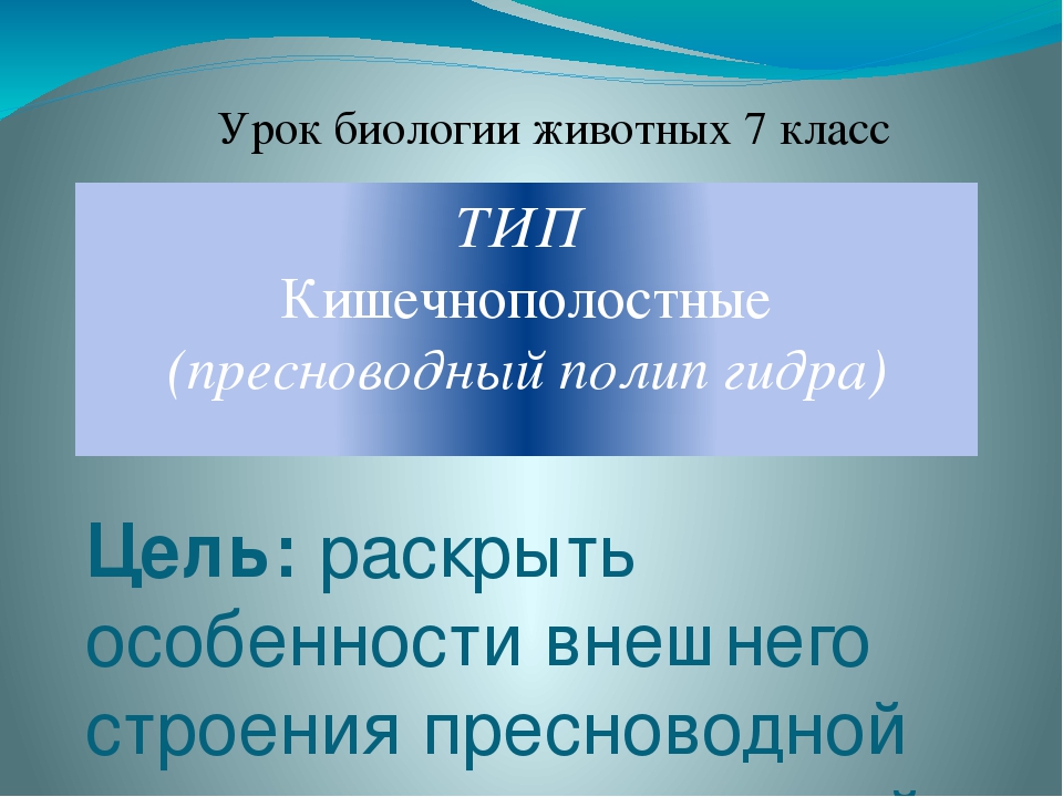 Кракен 2krnk cc